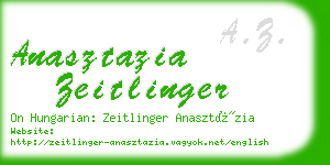 anasztazia zeitlinger business card